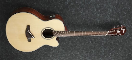 Ibanez AELFF10-NT Fanned Fret (Natural)