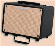Ibanez T30 Acoustic Guitar Amplifier