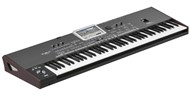 Korg Pa3X Le Professional Arranger Keyboard