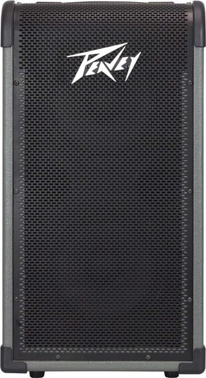 Peavey MAX 250 1x15 Bass Combo_