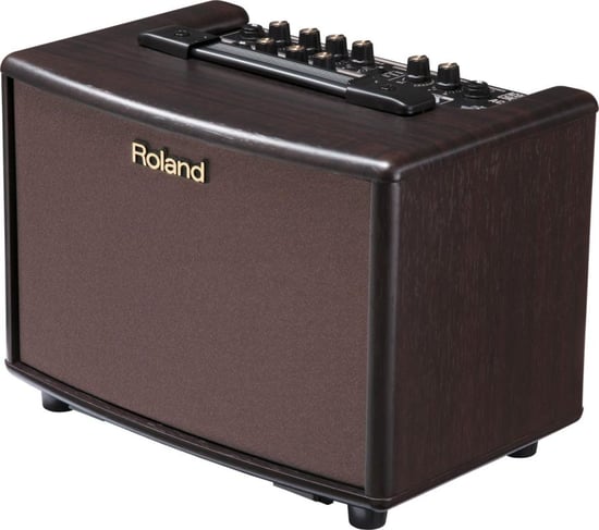 Roland AC-33 Acoustic Chorus 30W Stereo Combo, Rosewood