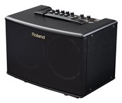 Roland AC-40 Acoustic Guitar Amp