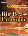 Roland SRX 10 Big Brass Ensemble Expansion Card
