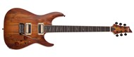 Schecter C-1 Exotic Spalted Maple, SNVB