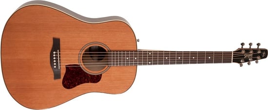 Seagull Coastline Momentum HG Dreadnought Electro Acoustic