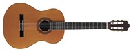 Stagg C847 S Solid Spruce Top