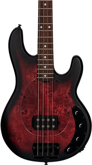 Sterling RAY34 StingRay Poplar Burl Bass, Dark Scarlet Burst Satin