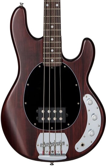 Sterling RAY4 StingRay Sub Bass, Walnut Satin