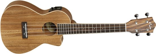 Tanglewood TUJ 2 CE Java Concert Ukulele, Koa Top