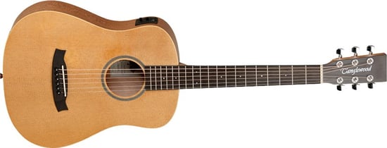 Tanglewood TW2 T SE Winterleaf Travel Electro Acoustic