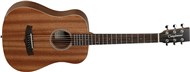 Tanglewood TW2 T Winterleaf Travel Acoustic with Gig Bag