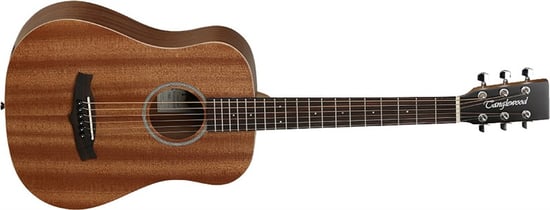 Tanglewood TW2 T Winterleaf Travel Acoustic with Gig Bag