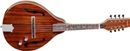 Tanglewood TWM T MH STE Union Electro Mandolin