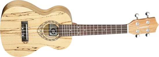 Tanglewood TWT 10 Tiare Concert Ukulele