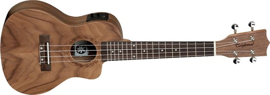 Tanglewood TWT 13 E Tiare Concert Ukulele