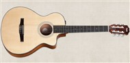 Taylor 312ce-N (Nylon)