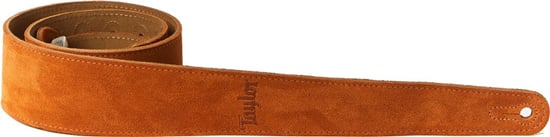 Taylor 4402 Embroidered Suede Strap, 2.5in, Honey