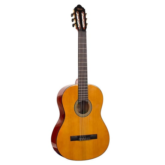 Valencia VC264 Guitar 4/4 Size, Gloss