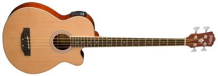 Washburn AB5 (Natural)