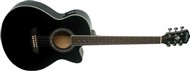 Washburn EA12B