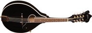 Washburn M1SDL Mandolin (Black)