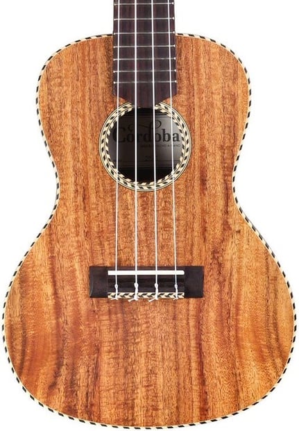 Cordoba 25C Concert Ukulele