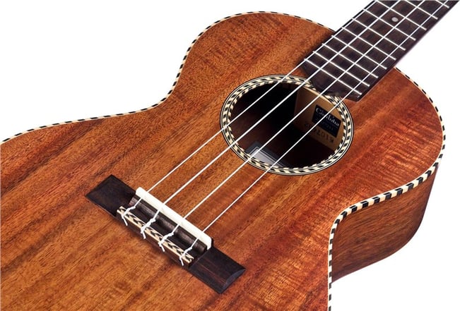 Cordoba 25T Tenor Ukulele