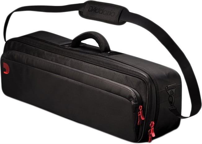 Daddario discount gig bag