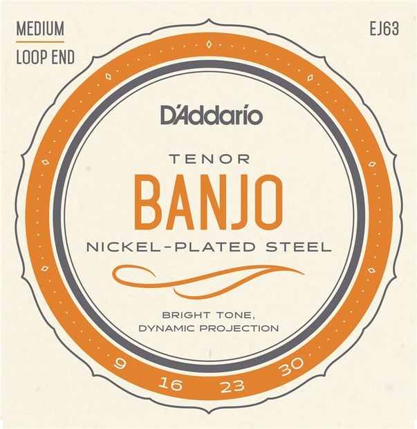 D'Addario EJ63 Nickel Plated Tenor Banjo