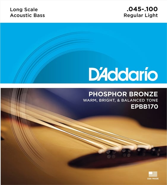 D'Addario EPBB170 Phosphor Bronze Acoustic Bass