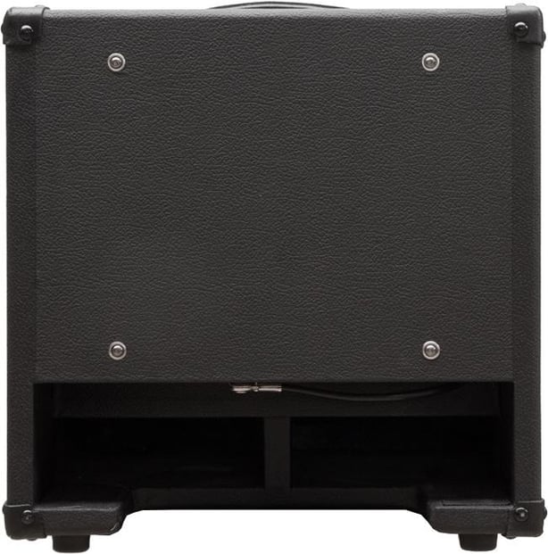 DV Mark AC101 250W 1x10 Acoustic Combo