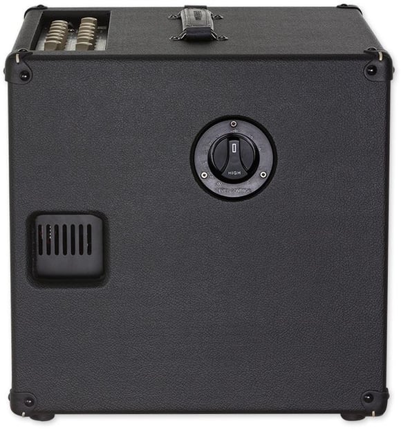 DV Mark AC101 250W 1x10 Acoustic Combo