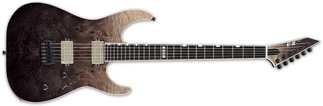 ESP E-II M-II NT Front