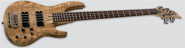 ESP LTD B-208SM Bass, Spalted Maple