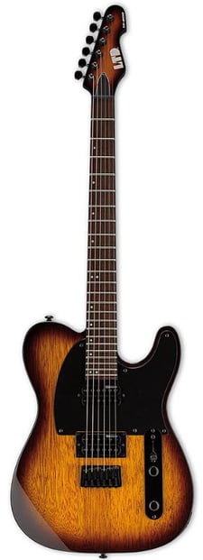 ESP LTD TE-200 Rosewood