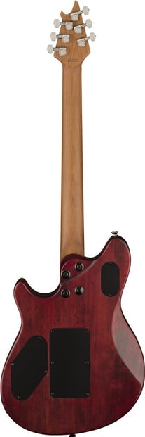 EVH Wolfgang WG Standard Exotic Poplar Bur