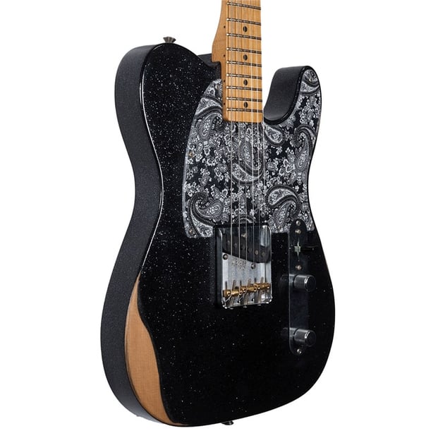 FenderBradPaisleyEsquireBlackSparkle-5