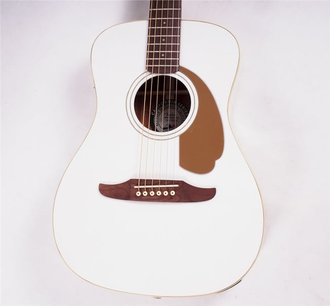 FenderMalibuPlayerAG02