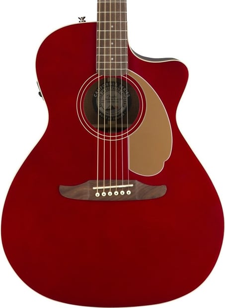 Fender Newporter Player