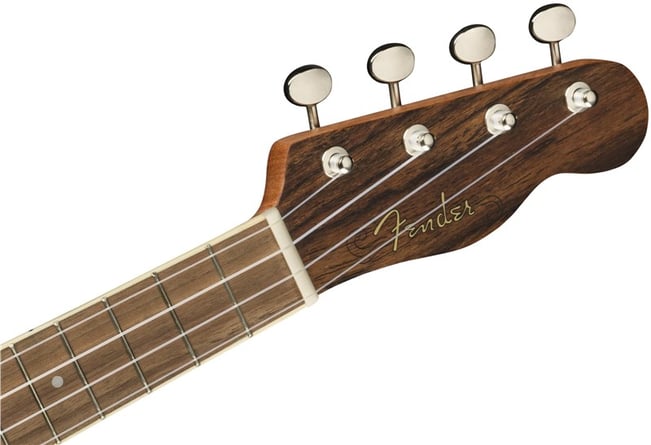 Fender Zuma Exotic Concert Ukulele, Bocote