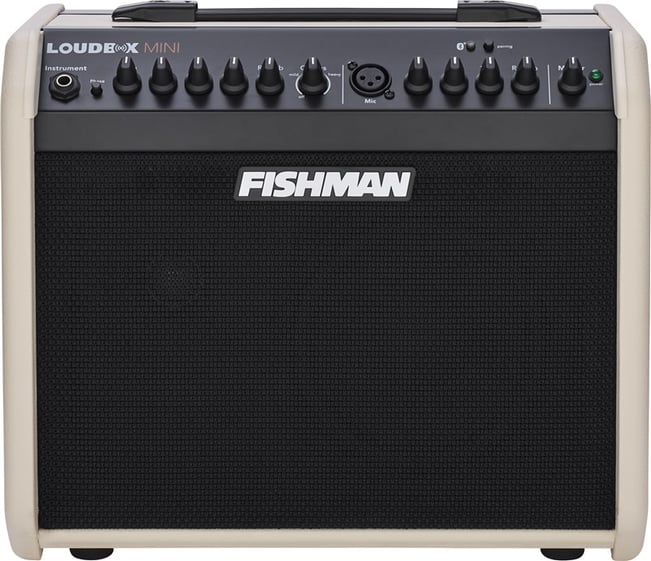 Fishman Loudbox Mini Bluetooth Cream Combo 1