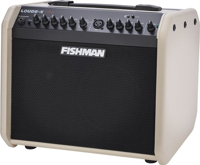 Fishman Loudbox Mini Bluetooth Cream Combo 3