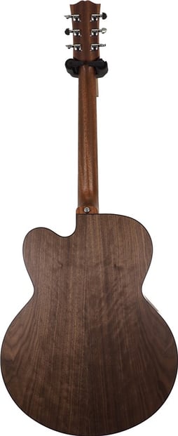 GibsonGenSeriesG200_6