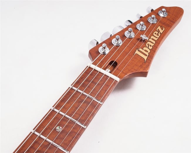 Ibanez2019AZ2402FFRBB_9