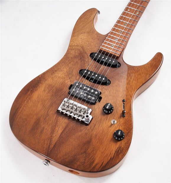 IbanezTQM1NTTQuayleSigNatural04