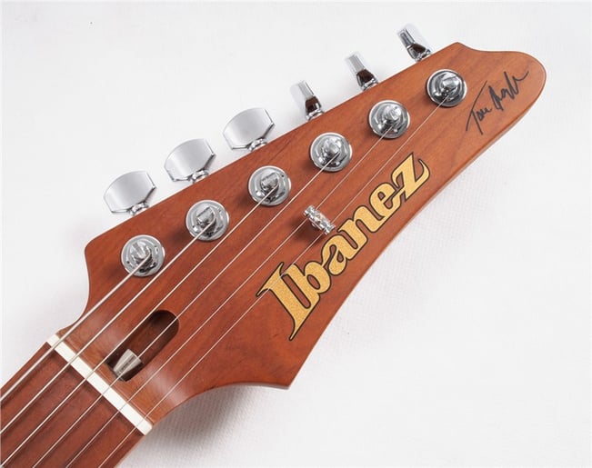 IbanezTQM1NTTQuayleSigNatural10