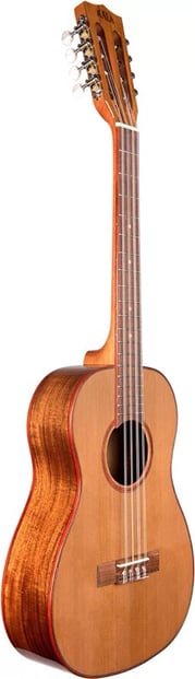 Kala KA-ABP8-CTG Baritone Ukulele 4