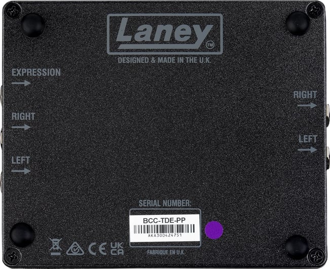 Laney BCC The Difference Engine Delay Rear