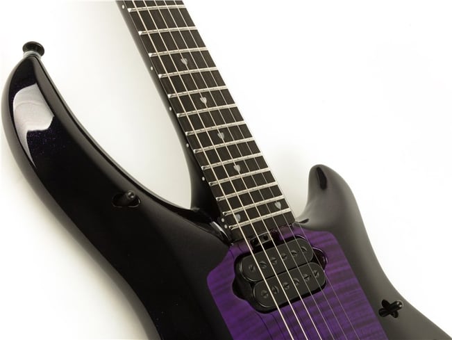 Music Man Majesty John Petrucci, Wisteria Blossom