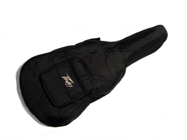 Peavey 2025 gig bag